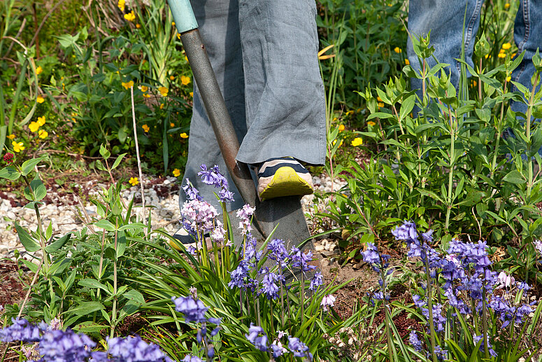 schop in de grond met bloemen