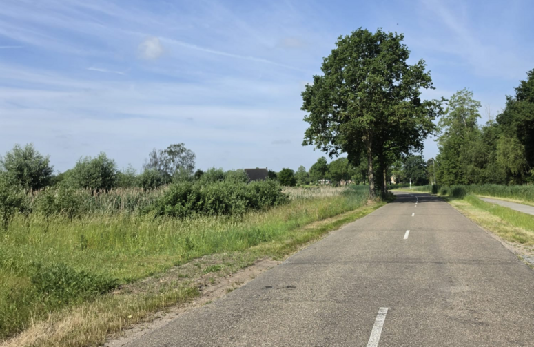 Foto gezandebaan