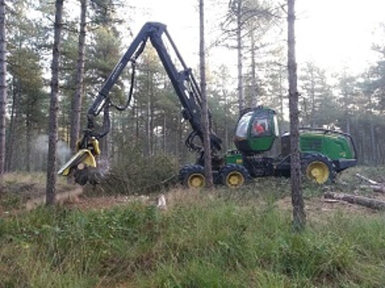 houtoogst in bossen met machine