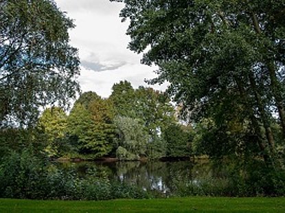 Loovevijver